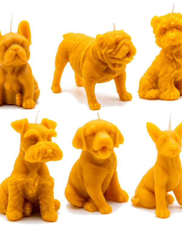Velas de perros